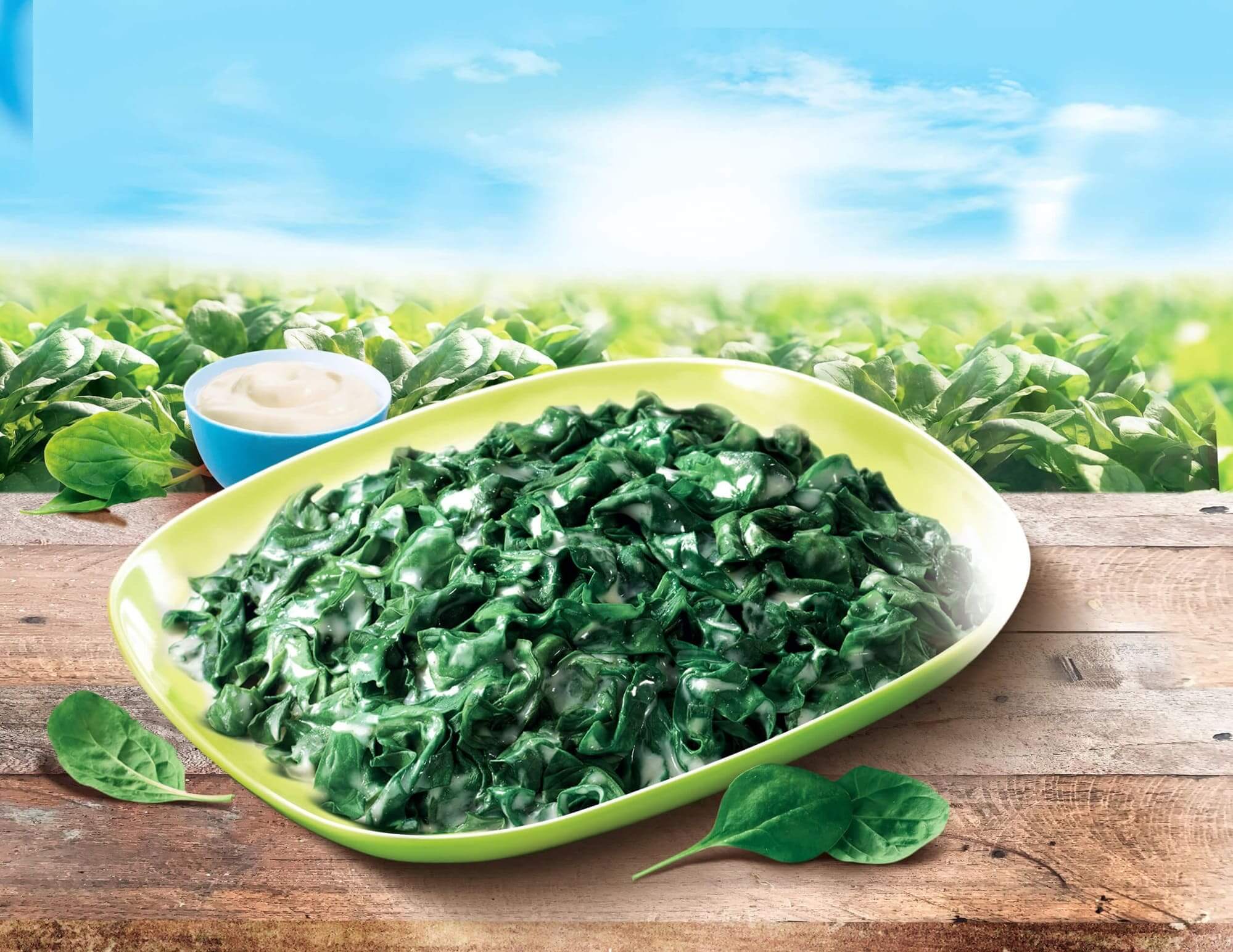 Epinards surgelés en branches à la crème en sachet | Findus
