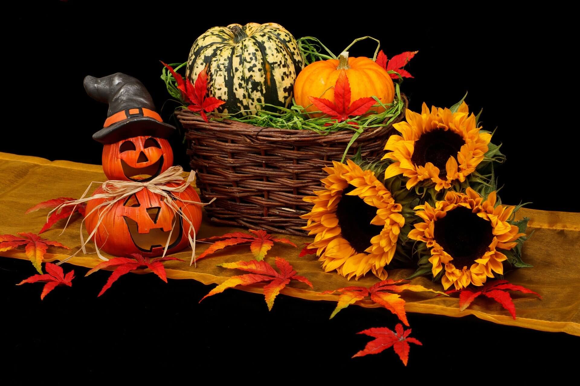 Idées de légumes pour le repas Halloween | Findus