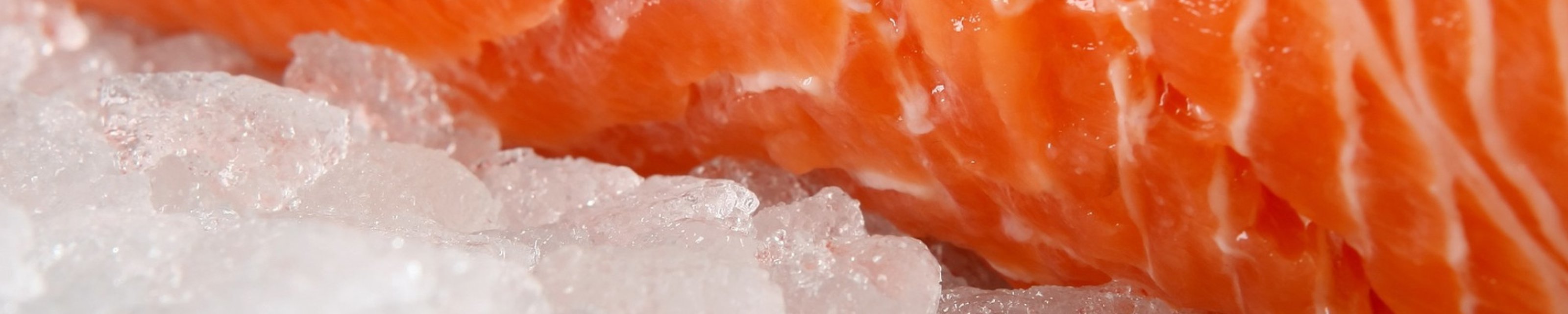 Conservation des produits surgelés : où les ranger ?